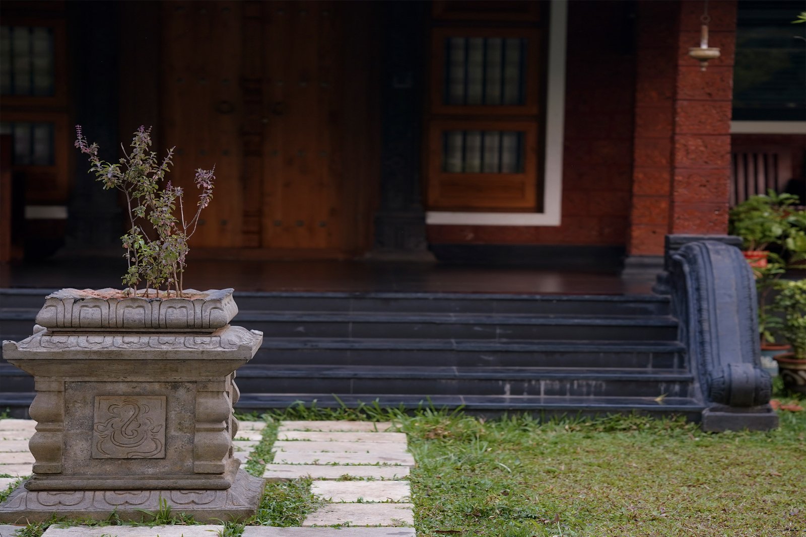 banner-image
